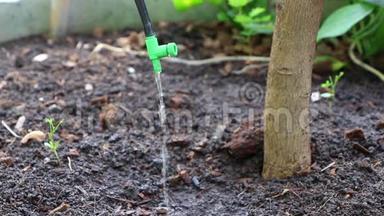 在园林和农场内滴灌系统，用水<strong>节约水</strong>分和养分，慢慢滴到植物的根部。